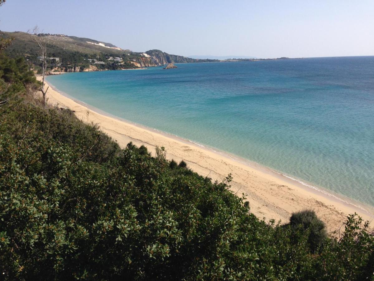 Villaparadiso Beach Front Villa Makris Gialos Аргостолион Экстерьер фото